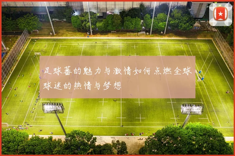 足球蕃的魅力与激情如何点燃全球球迷的热情与梦想