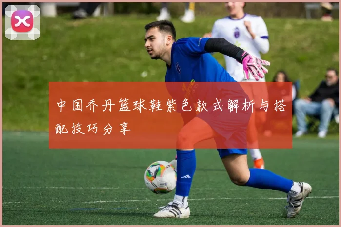 中国乔丹篮球鞋紫色款式解析与搭配技巧分享