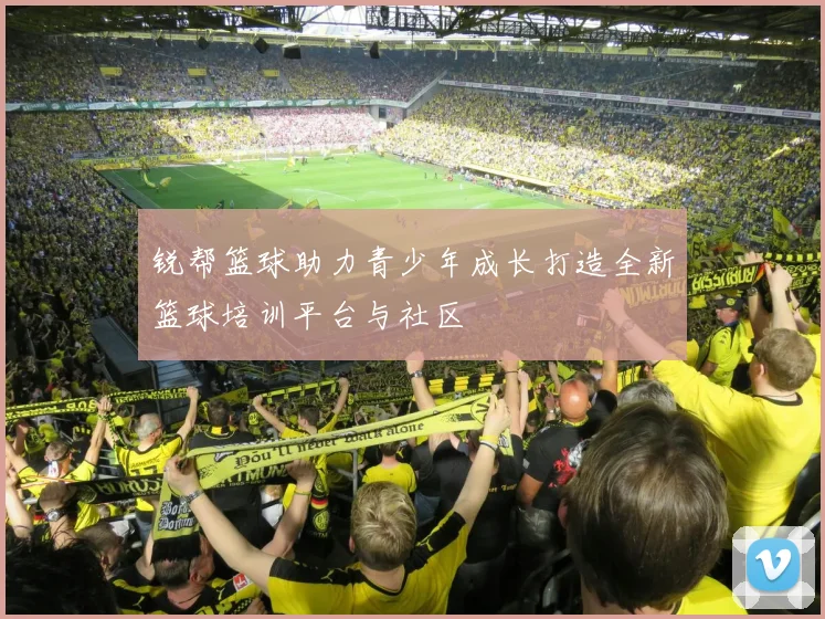 锐帮篮球助力青少年成长打造全新篮球培训平台与社区