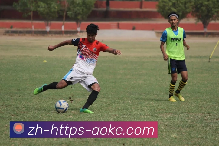 App Interface Preview